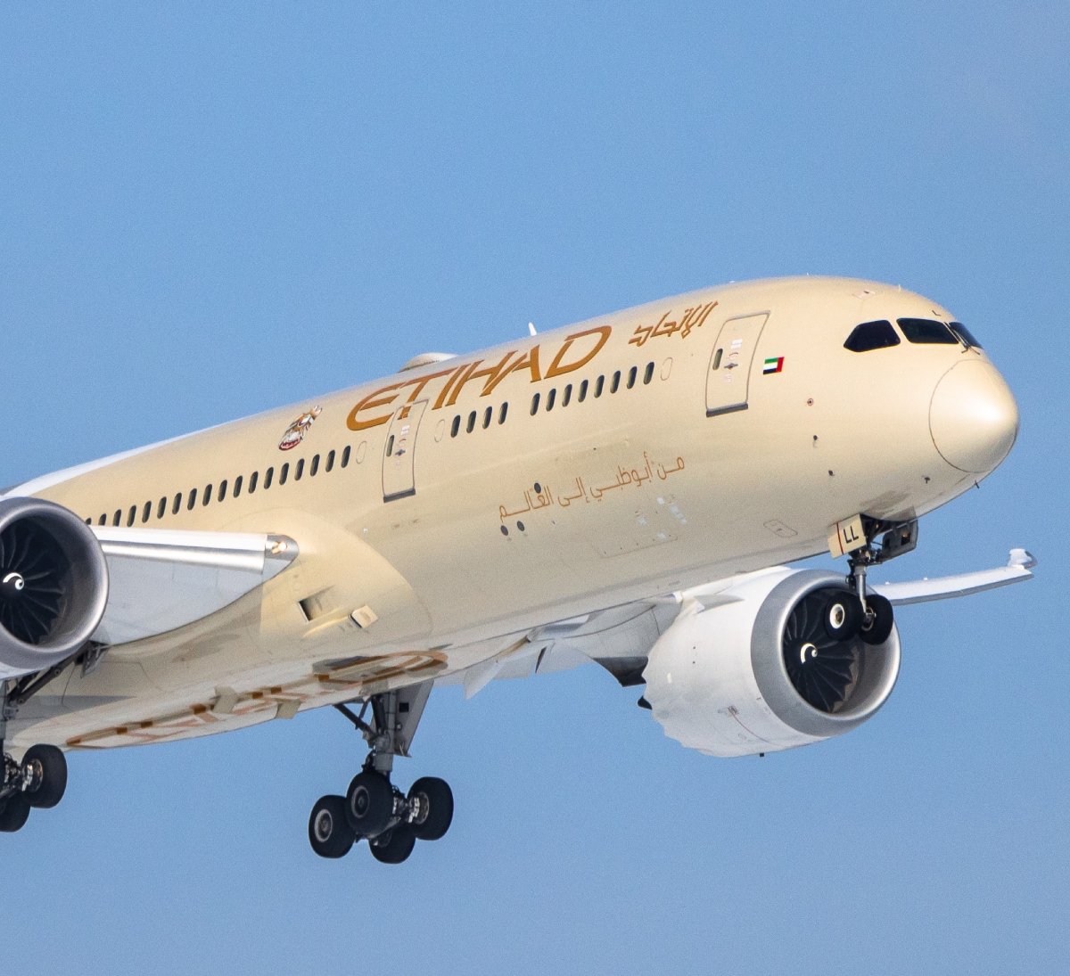 Etihad Plane